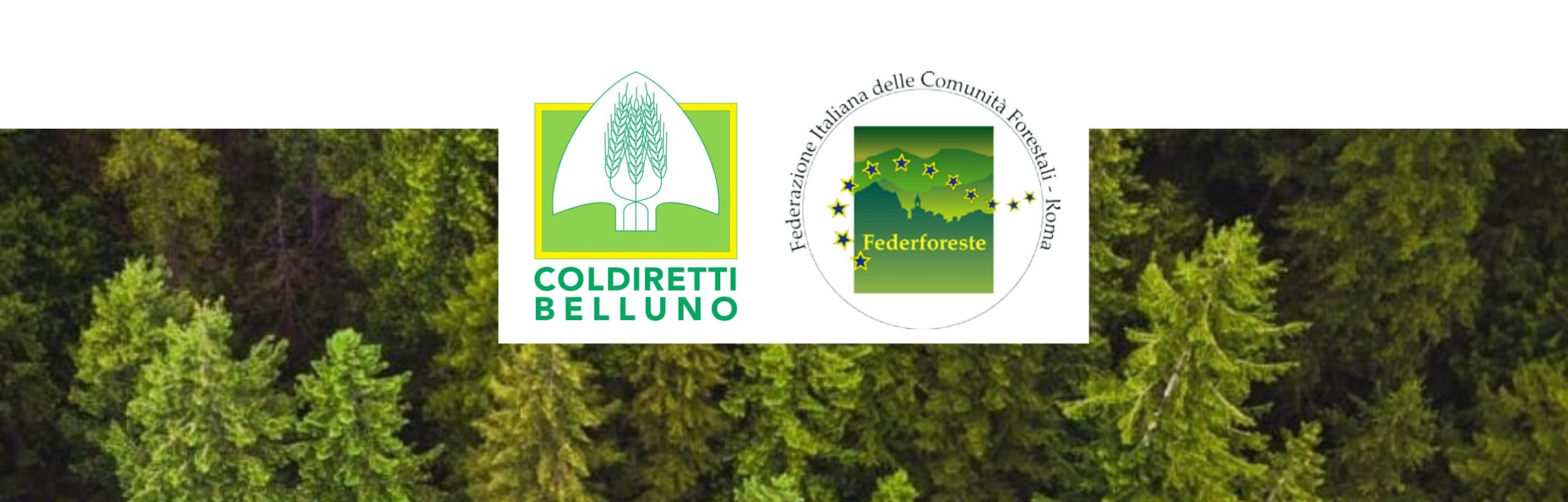 consorzio forestale codiretti-federforeste