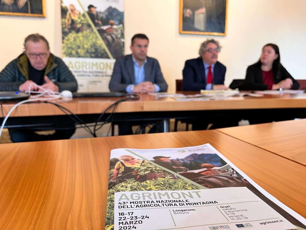 presentazione Agrimont palazzo Piloni