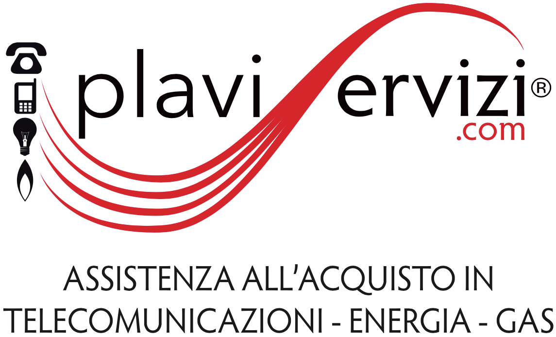 Partner tecnico - Plavis Servizi