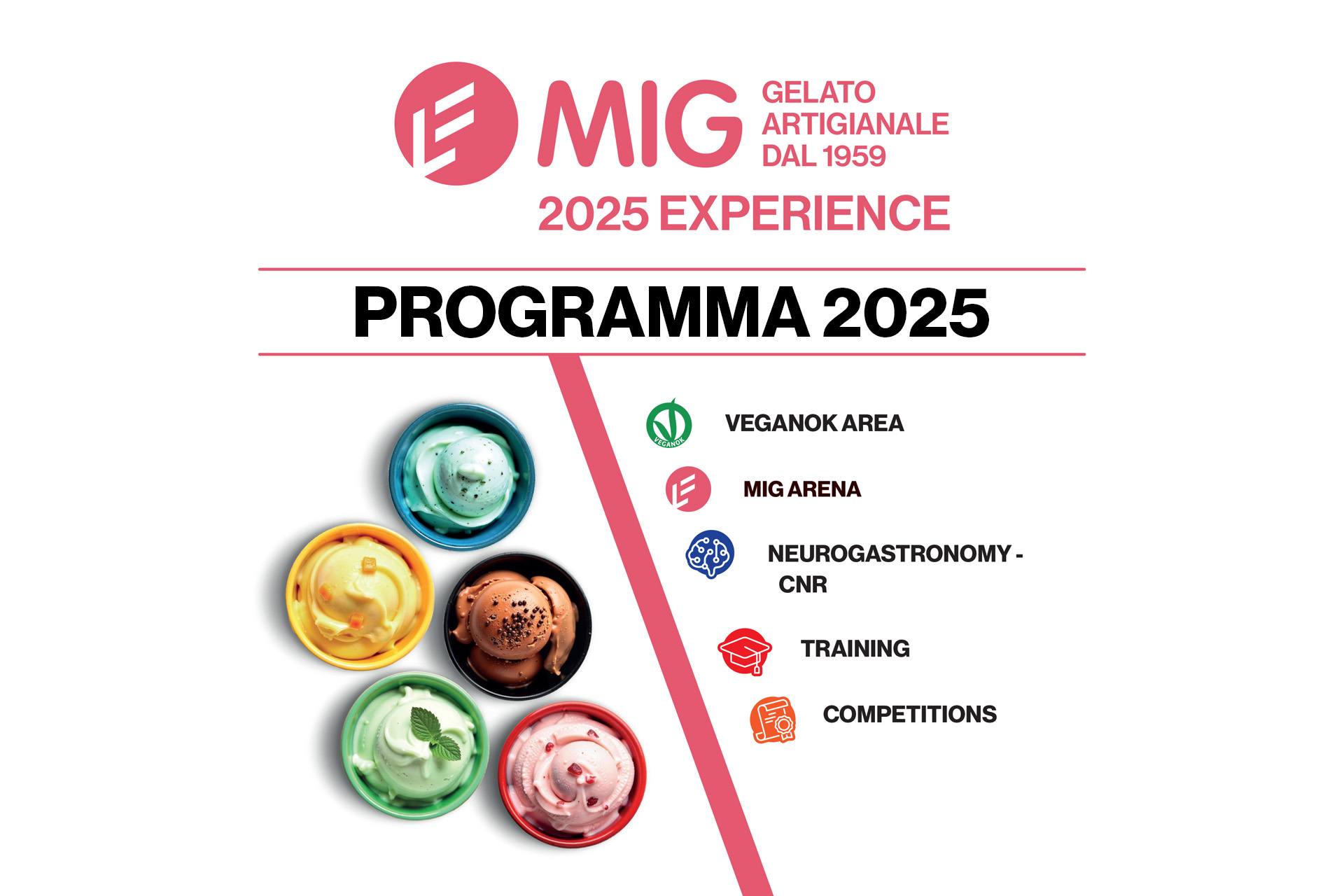 MIG Experience - programma 2025